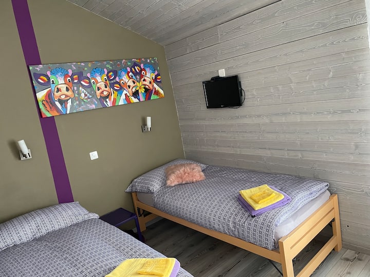 Chambre à 2 ( ou 1 ) lits, accès direct au jacuzzi 