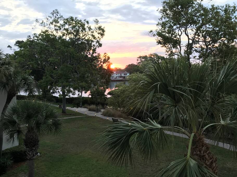 View from Lanai