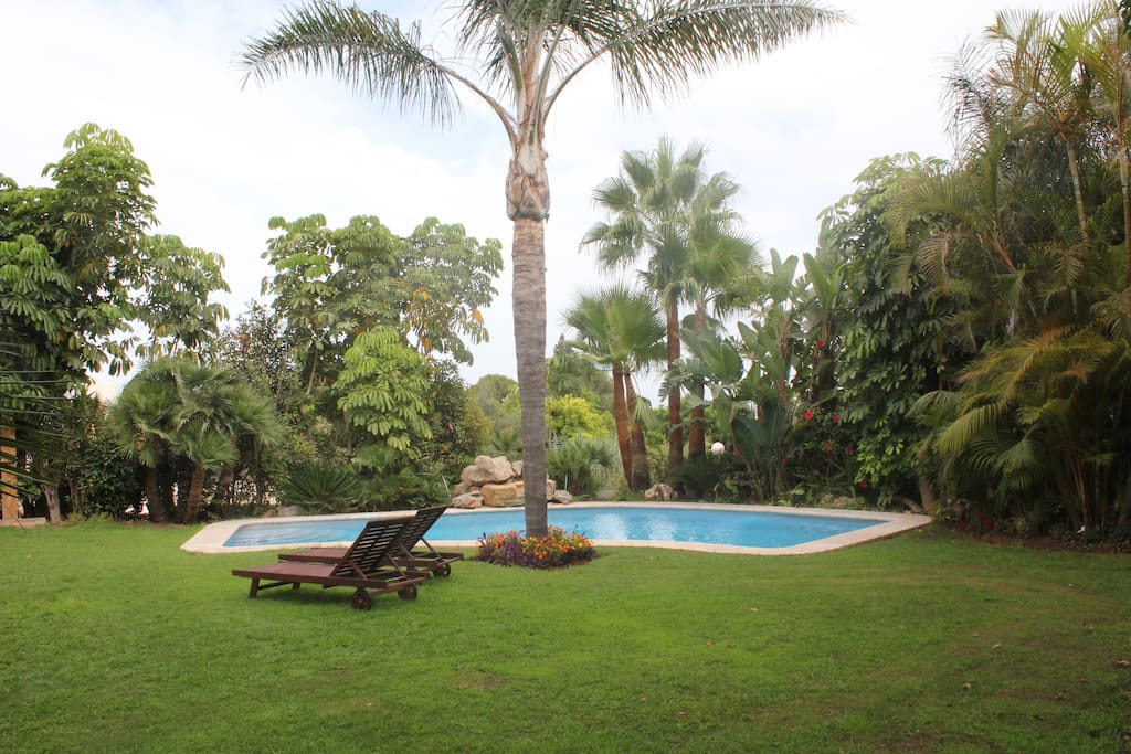 piscina en jardín privado