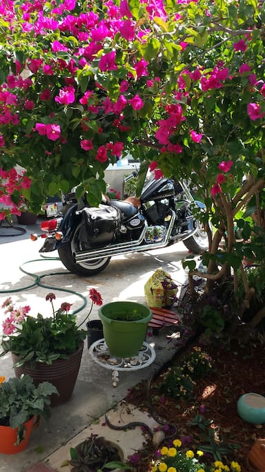 Bikes are welcome at our home!