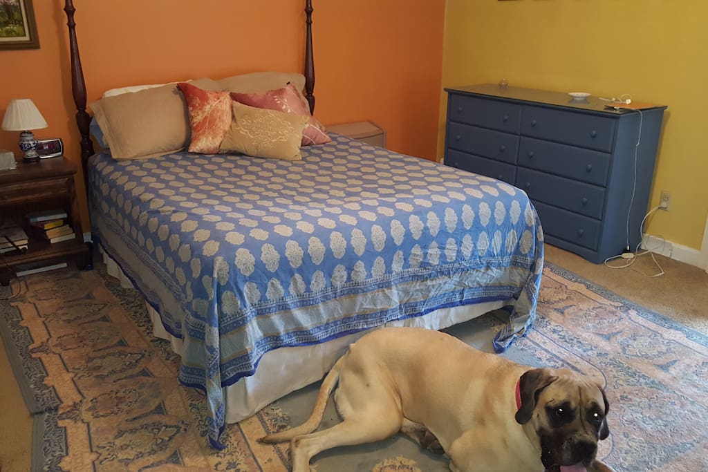 Master bedroom with queen sized bed, dresser, two closets, en suite bath, lingerie chest, nightstand with lamp. Overhead fan.