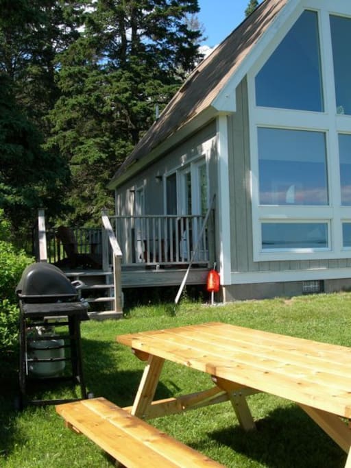 Gas BBQ and picnic table.