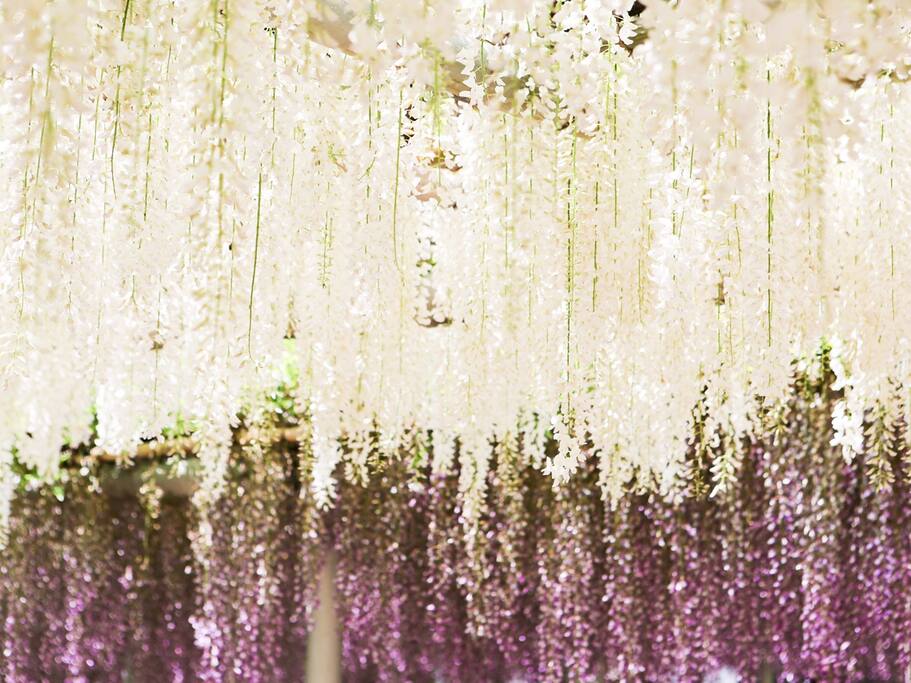 东瀛花物语 优雅淑女的吉祥寺白藤 福冈旅游攻略 尽在airbnb爱彼迎 东瀛花物语 优雅淑女的吉祥寺白藤 福冈旅游攻略 尽在airbnb爱彼迎