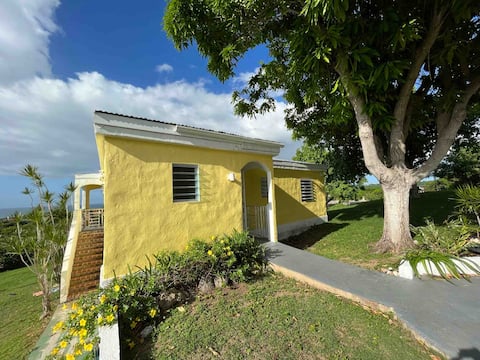 Successful Airbnb property: Yellow House in Vieques