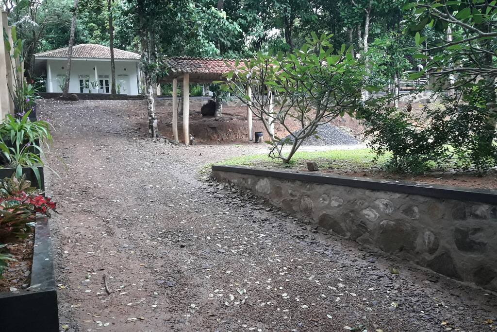 Garden view