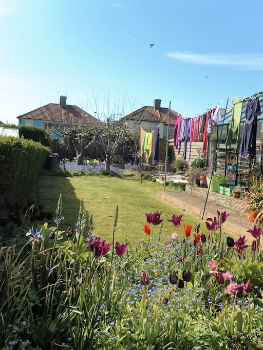 The garden in spring time.