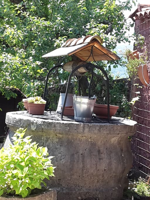Wishing well