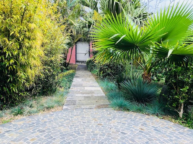 A stone pathway leads through a lush tropical garden, bordered by vibrant green plants and palm leaves. The entrance to the villa is visible at the end of the path, framed by dense foliage, creating a serene and inviting approach.