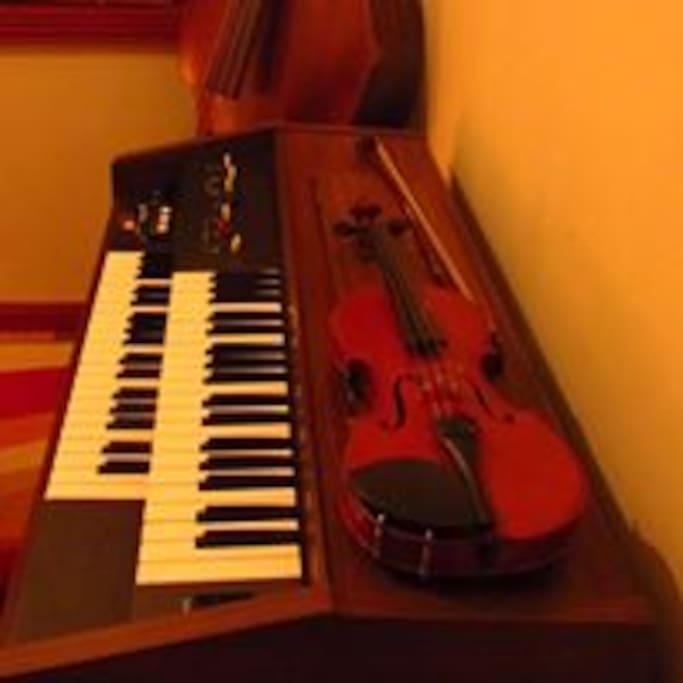 los huéspedes pueden utilizar diversos instrumentos en su estadía.