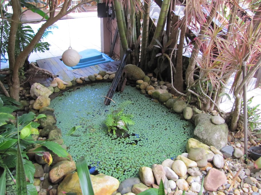 Lago ornamental com peixes