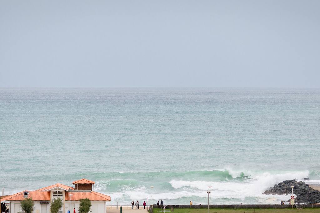 Surf?