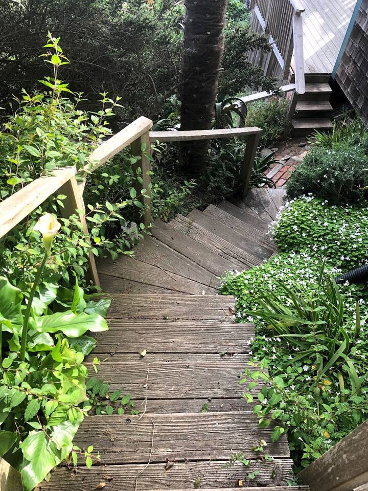 9 Best Airbnb Vacation Rentals In Bodega Bay, California Updated 2024 Trip101