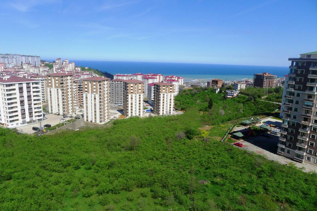 View from Balcony