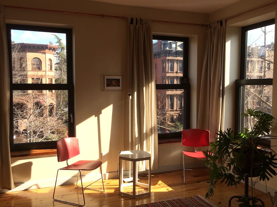 friendly and sunny studio, windows facing east