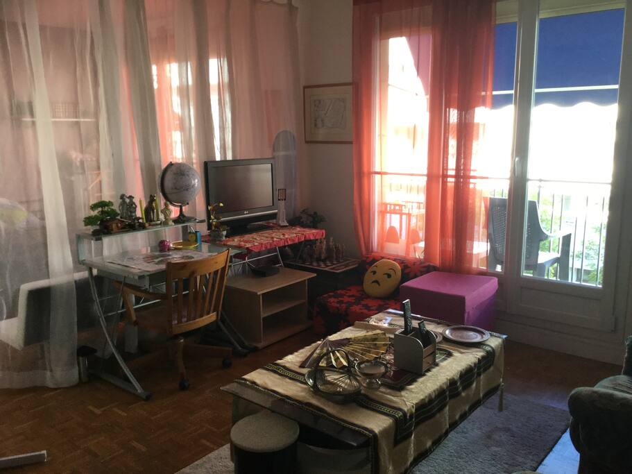Séjour cosy, bureau de travail, canapé chauffeuse (matelas pliable pour un adulte).Televiseur 60’,abonnement BouyguesTélécom BBox 660 chaînes françaises et internationales.