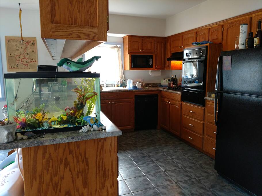 Have use of Kitchen, including own food storage space.