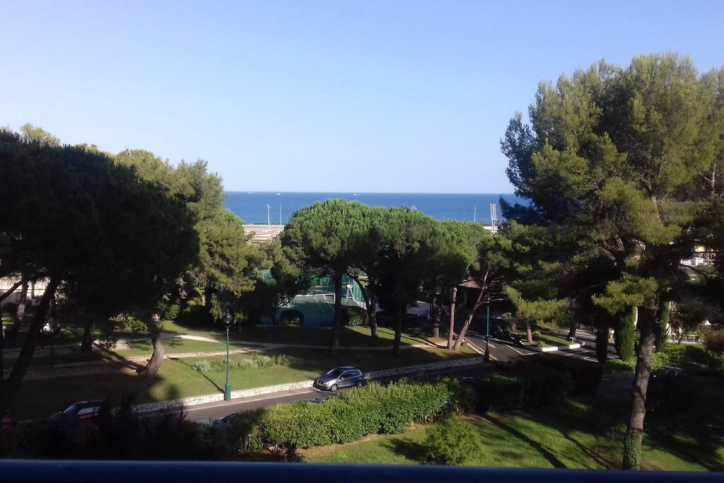 VUE DE LA TERRASSE