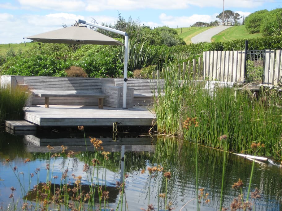 Natural swimming pool