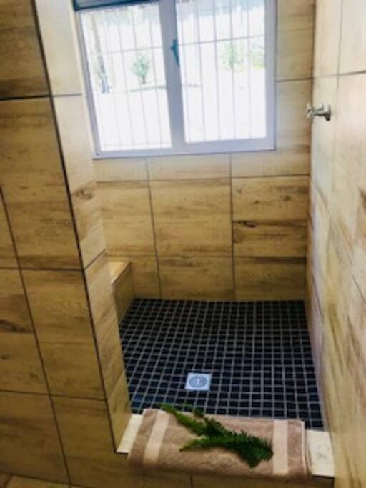Large open plan - walk in shower