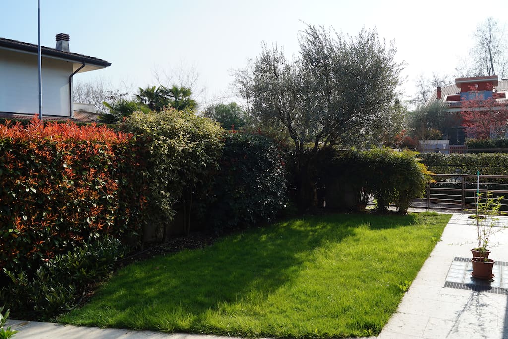 Giardino