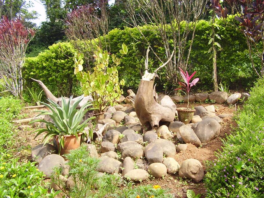 garden