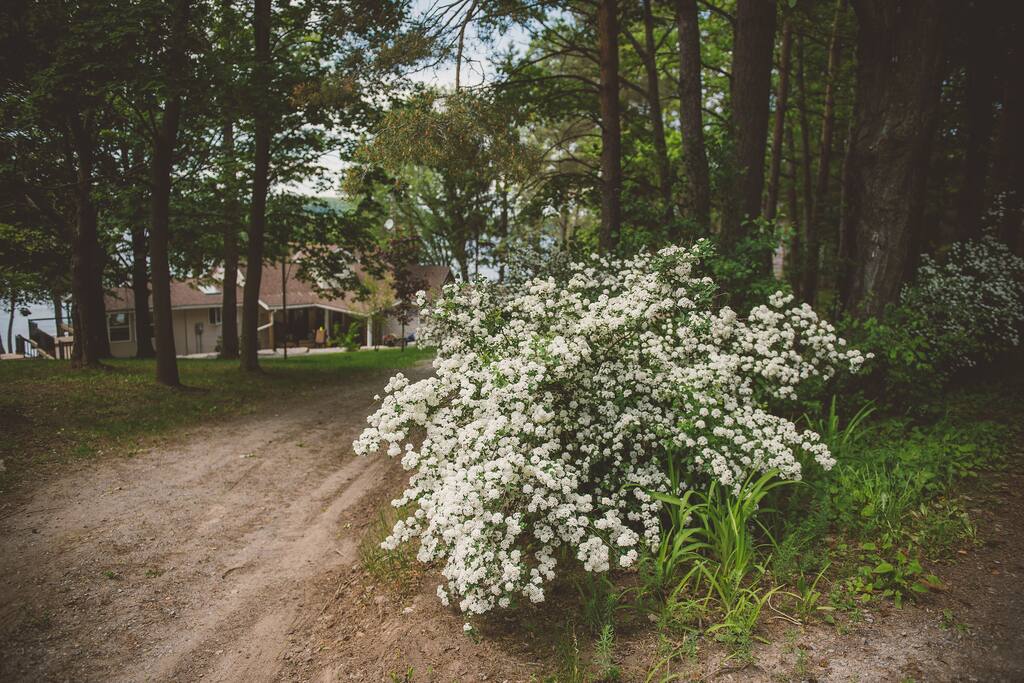 Entrance to property is wooded and private