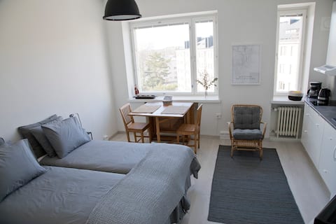 Newly renovated stylish top floor studio