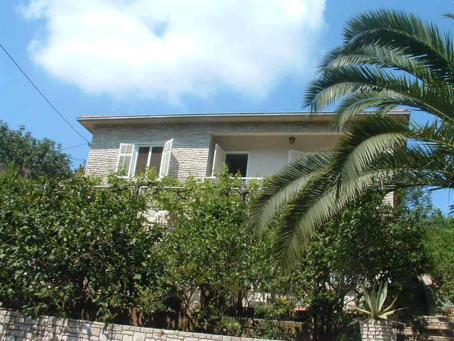 house
