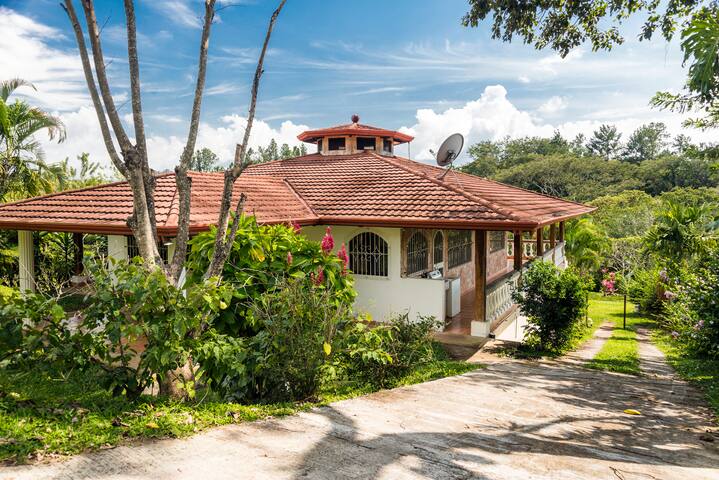 The Wet Nose Animal Rescue - volunteer discounts!