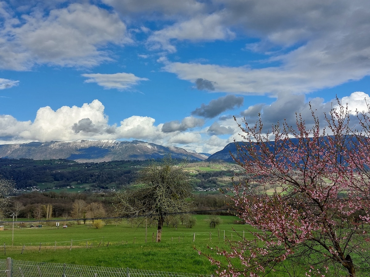 A scenic view features rolling green hills and expansive fields under a partly cloudy sky. The distant mountains are visible, showcasing various shades of blue and gray. In the foreground, a blossoming tree adds a hint of color, enhancing the natural landscape.