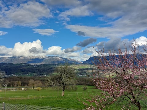 Lovely place with a magnificent mountain view