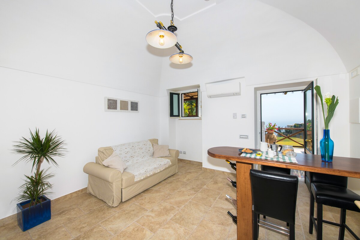 Top Airbnb: "Positano Old Bakery Villa" With Terrace & Garden a Positano