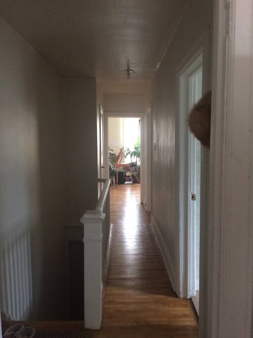 hallway connecting kitchen/washroom to living room and bedroom