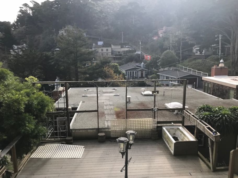 Backyard and roof