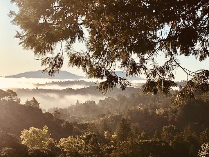 10 Best Airbnb Vacation Rentals In Orinda, California Updated 2024 Trip101