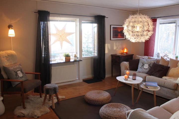 The living room with its comfortable sofa group (including a sofa bed)