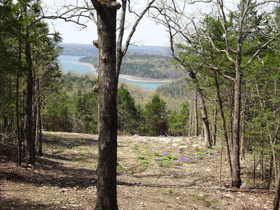 View of Lake Norfork from the shaded deck.