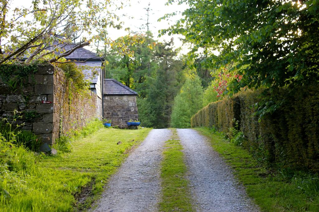 Lane leading to Rathduff House