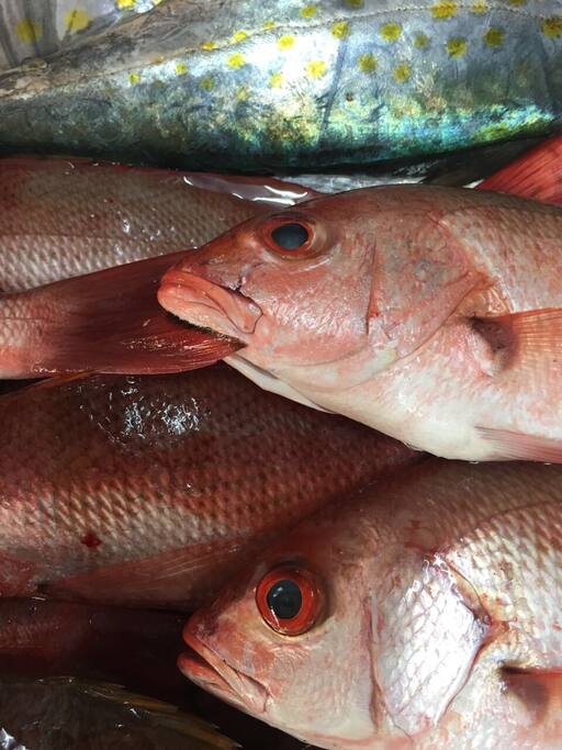 Pescado fresco del mercado por las mañanas.
Fresh fish in the morning market.