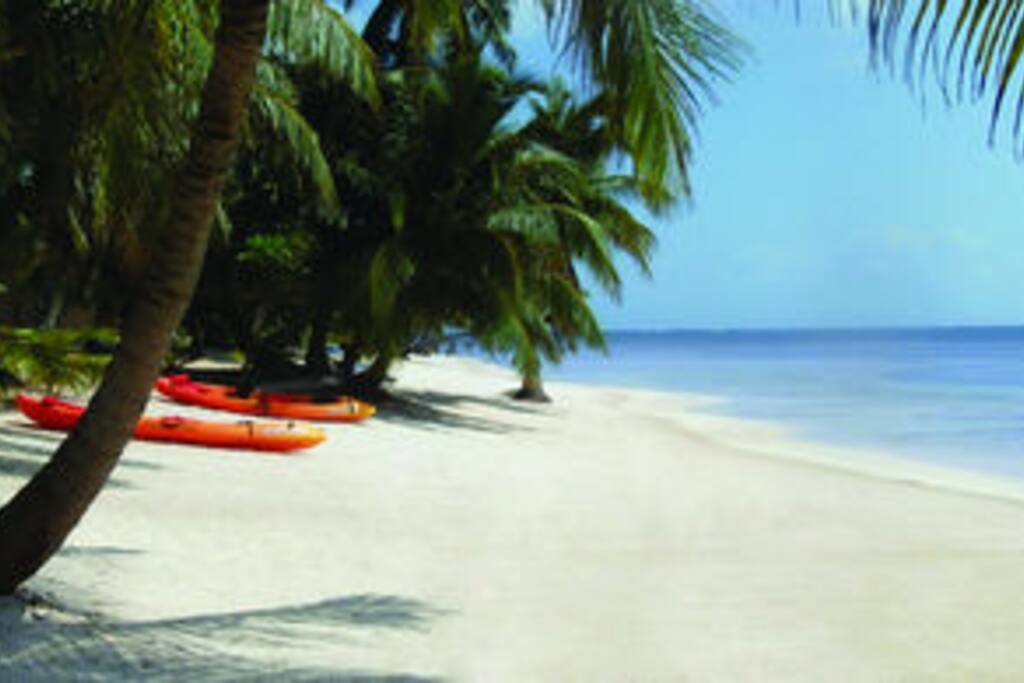 Kayaks, paddle boards, bikes, fishing and snorkeling gears free for our guests!