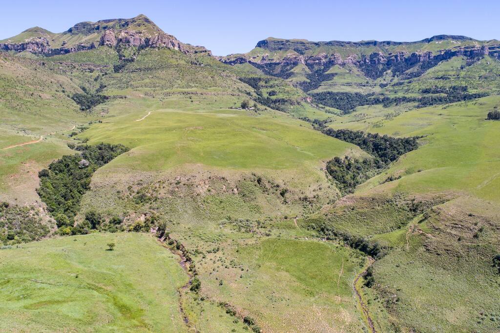 Aerial shot of the area