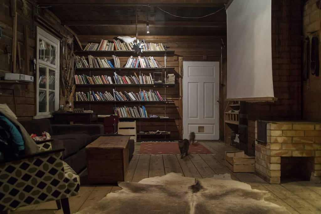 Library, study and cinema