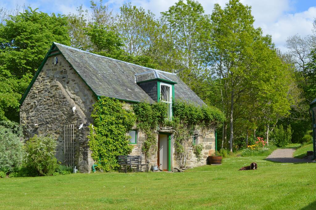 fddea4d2 1df9 4d9e 894d dfb425595984