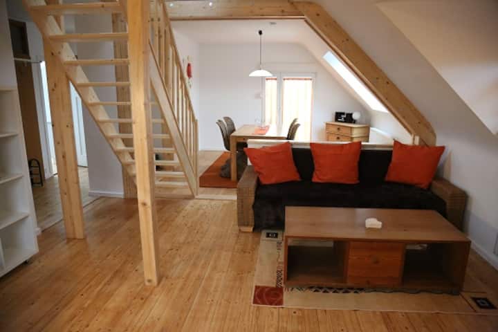 Maisonette Zum Wohlfühlen  80 Qm - Ladenburg