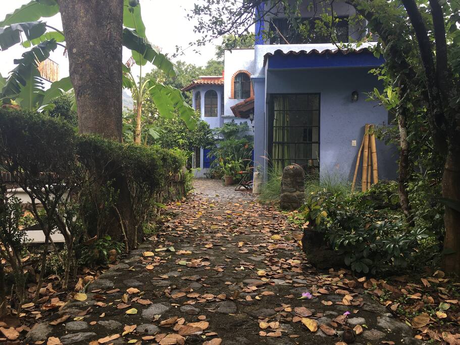 jardín en noviembre