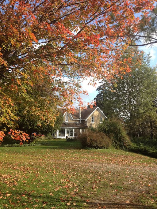 Autumn in Auburn