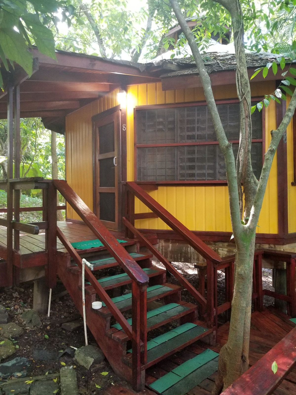 A bright yellow cabin is framed by lush greenery, featuring a wooden deck with a set of stairs leading to the entrance. The front door is accented with a grid-style window, allowing natural light to fill the entryway. Surrounding trees create a serene atmosphere.