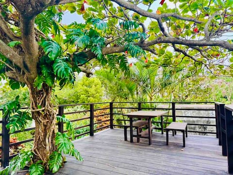 Lodging with Tree Park - New Asahi - Kid Friendly Hospitality