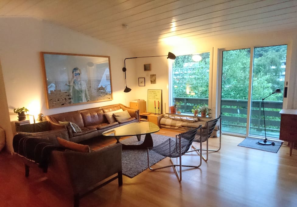 Modern living room with exit to a back terrace, fireplace,
