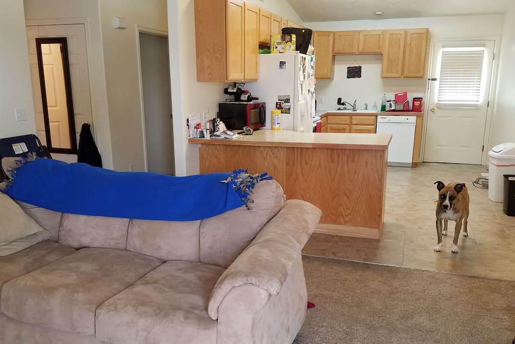 Living Room leading into the Kitchen